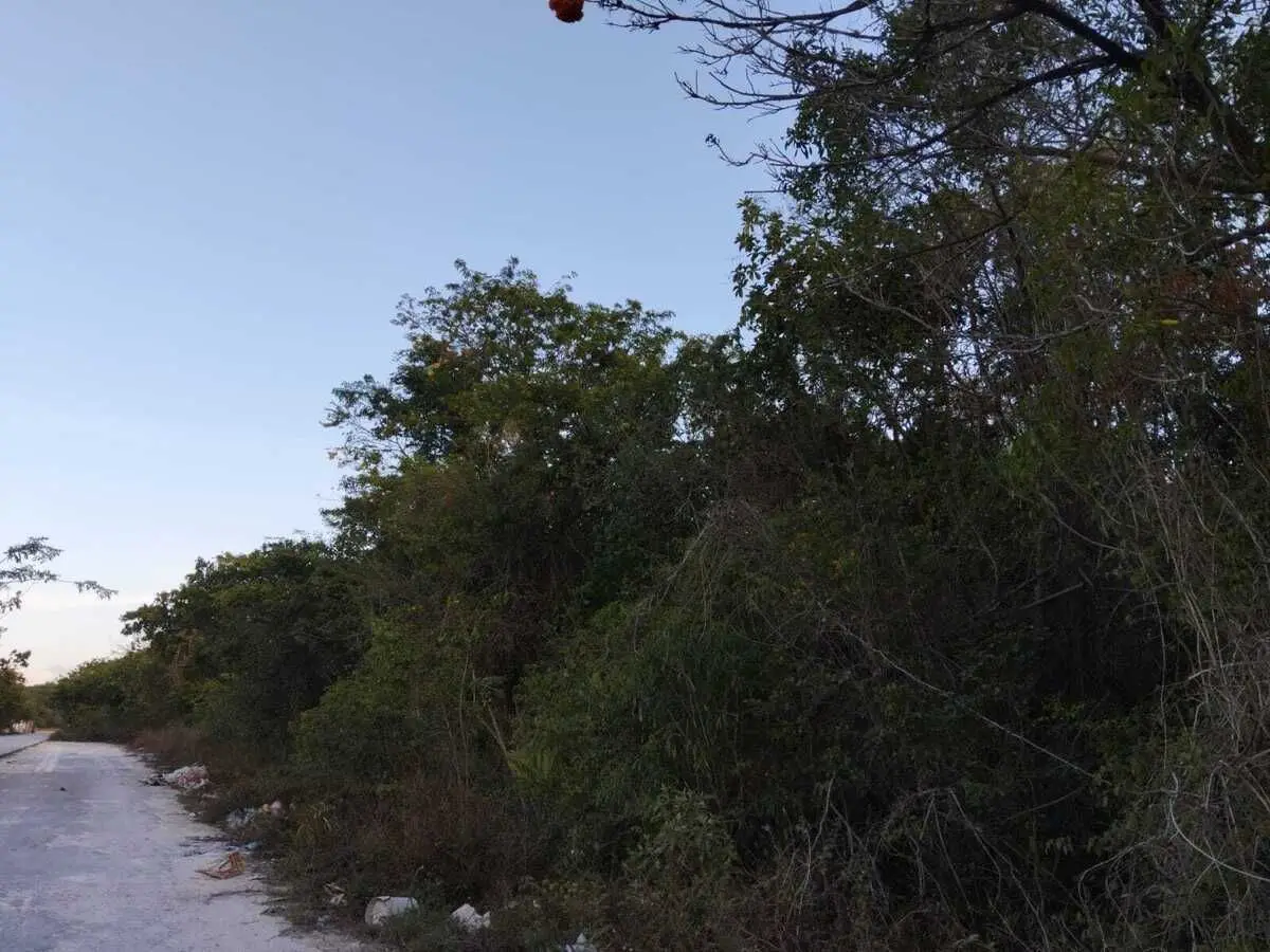 Terreno en Venta en Playa del Carmen — foto 6