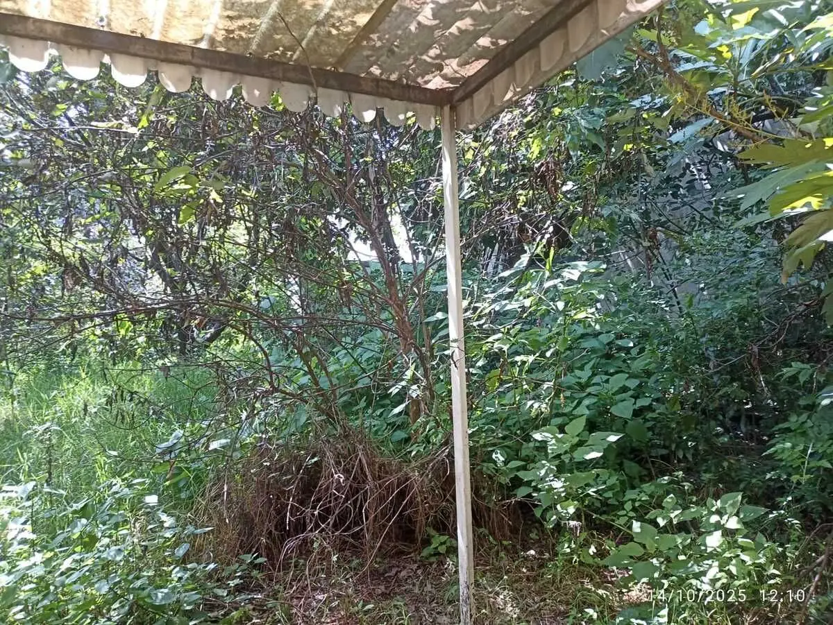 Terreno en Venta en Tlalpan — foto 2