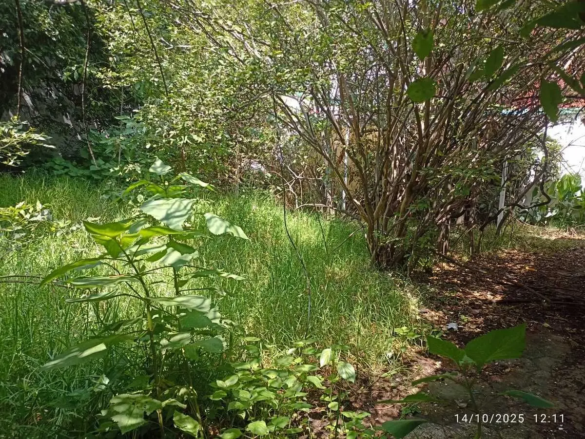 Terreno en Venta en Tlalpan — foto 6