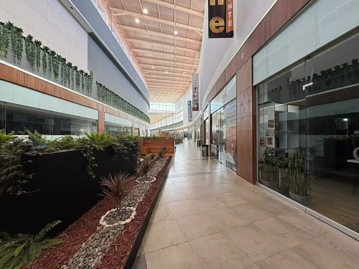 Local Comercial en Renta en Bosque Esmeralda — foto 5