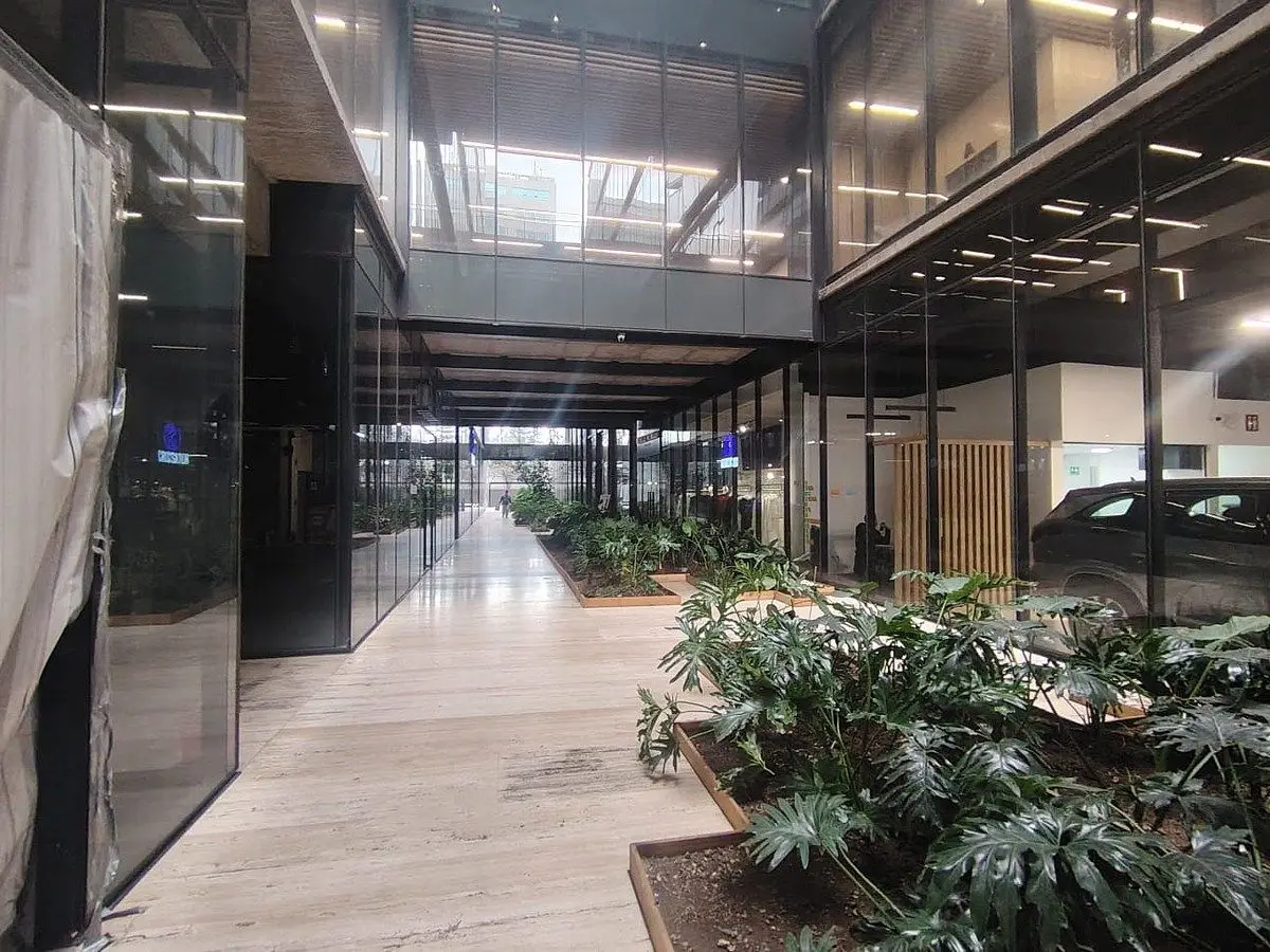 Local Comercial en Renta en Polanco — foto 6