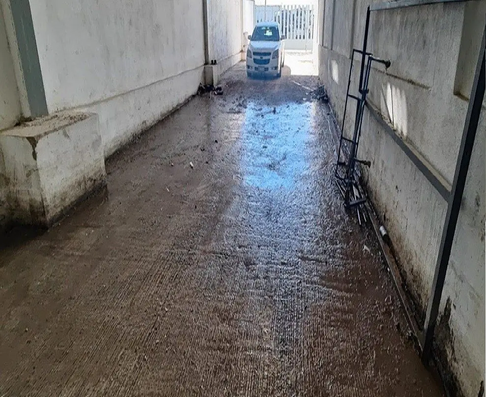 Bodega en Renta en Tijuana — foto 4