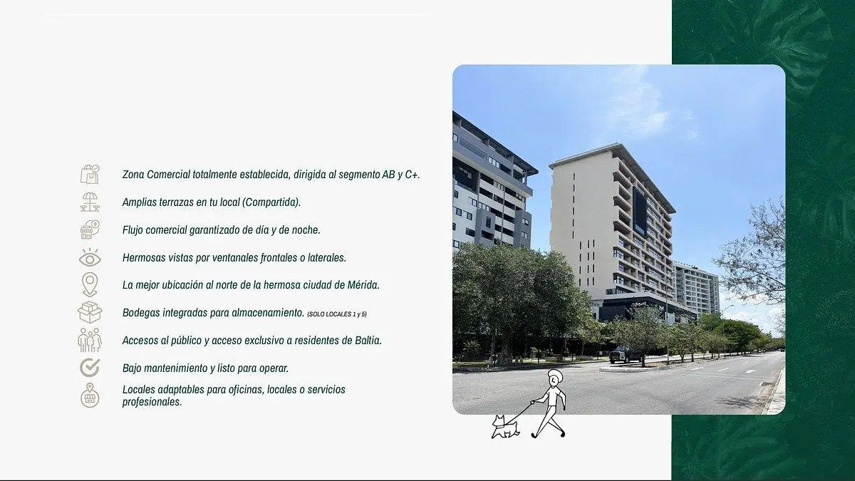 Local Comercial en Venta en Merida — foto 4