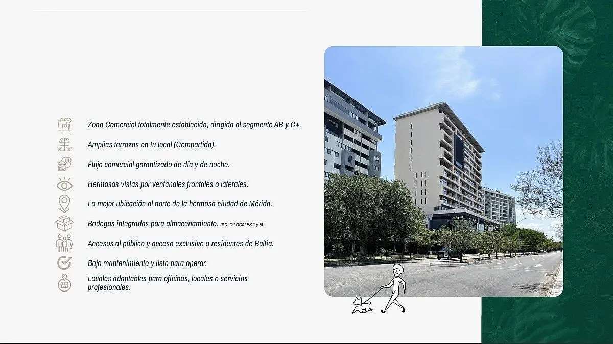 Local Comercial en Venta en Merida — foto 4