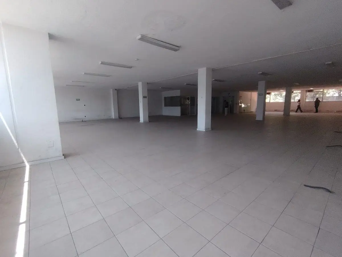Local Comercial en Renta en San Miguel Chapultepec — foto 4