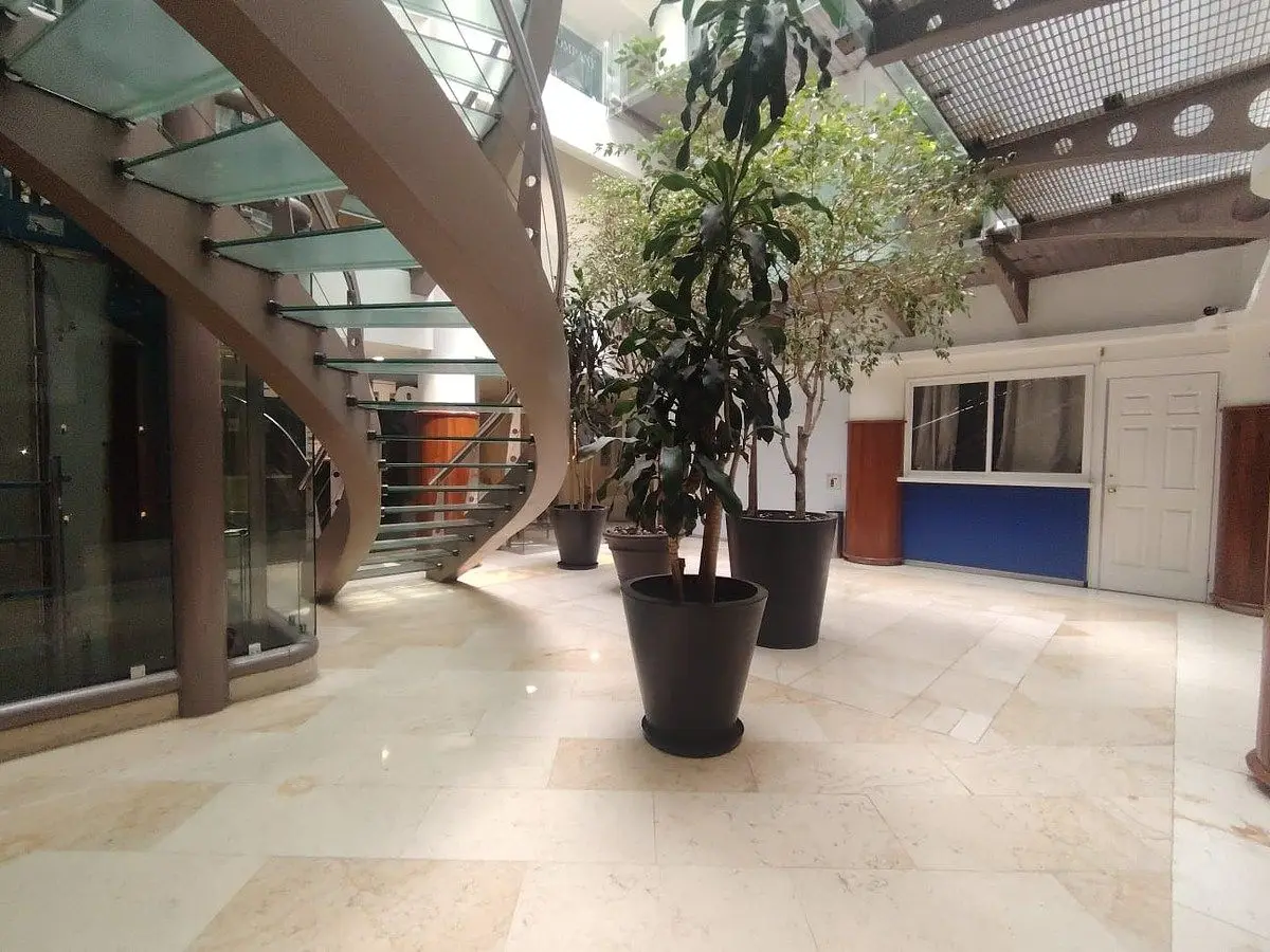 Oficina en Renta en Lomas de Chapultepec — foto 5