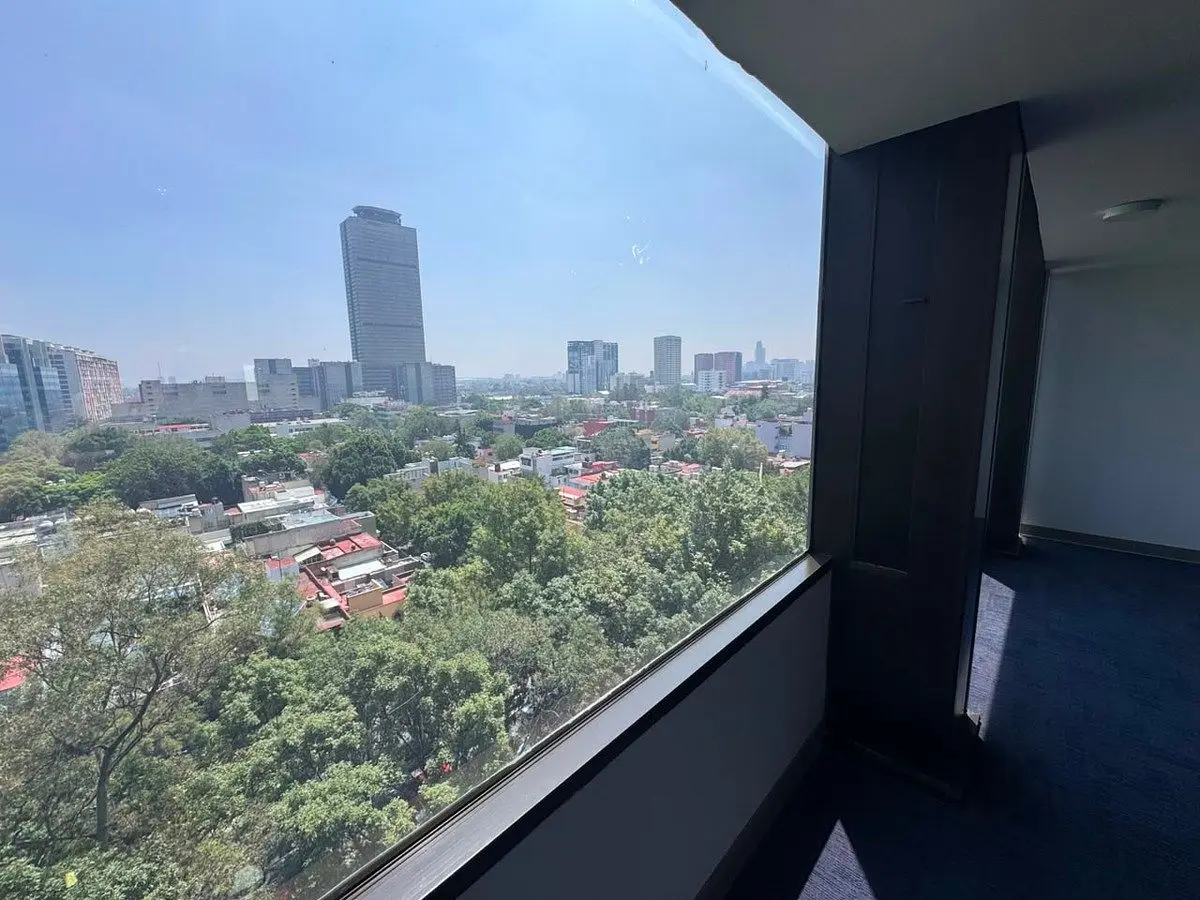 Oficina en Renta en Colonia Anzures — foto 4