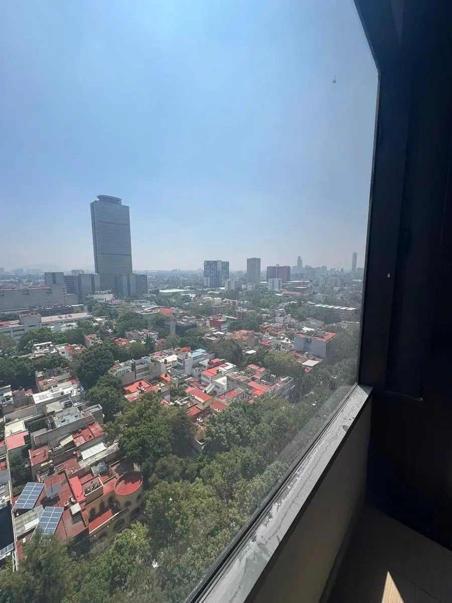 Oficina en Renta en Colonia Anzures — foto 4