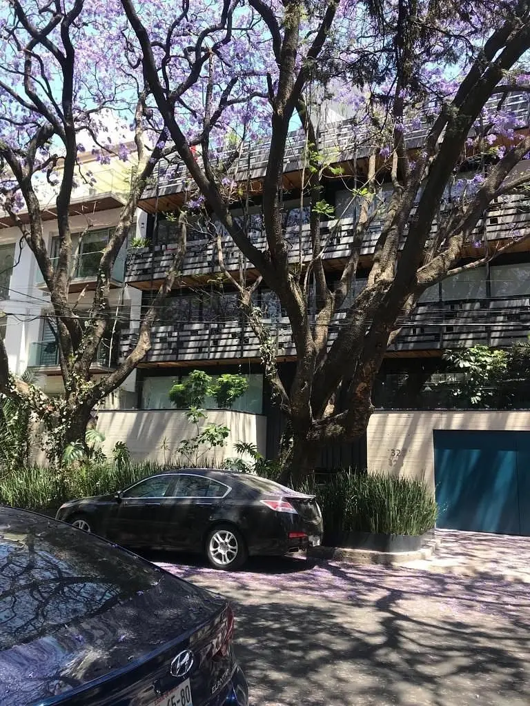 Penthouse Amueblado en Renta en Polanco
