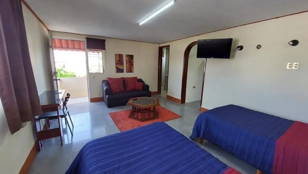 Renta departamento 1 recamara colonia aleman — foto 3