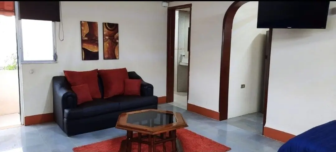 Renta departamento 1 recamara colonia aleman — foto 5