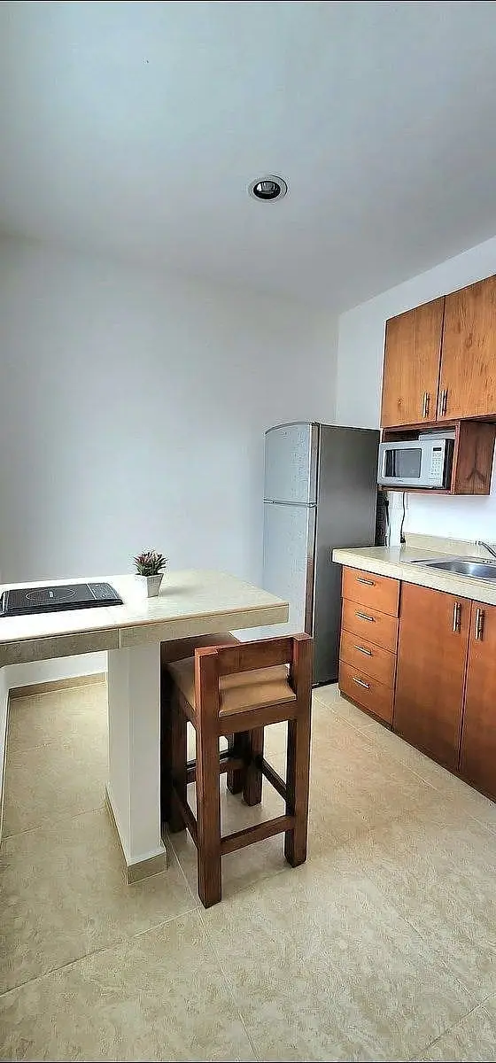 Renta Departamento 1 recamara tipo estudio Florida — foto 1
