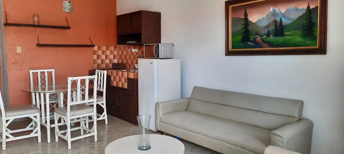 Renta departamento amueblado 1 recamara campestre — foto 4