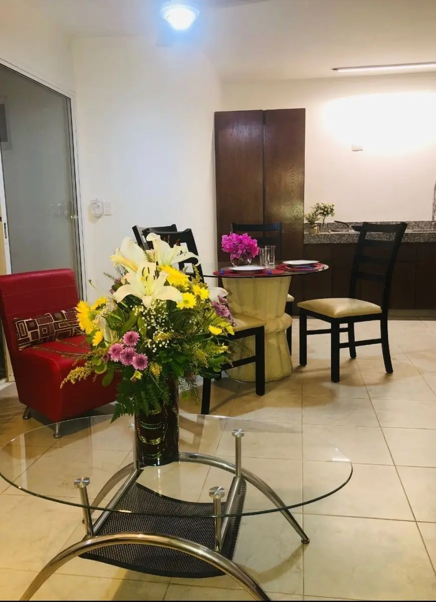 Renta departamento amueblado 1 Recamara zona norte — foto 4