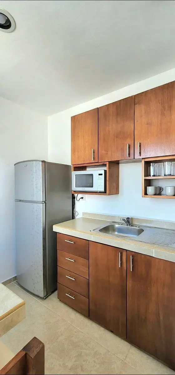Renta Pequeño Departamento AMUEBLADO 1 Recamara — foto 4