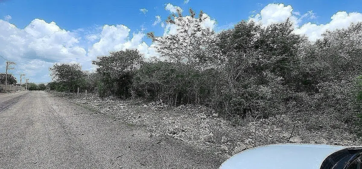 Venta Terreno de 8,000 mts2 cerca priv. Oviedo — foto 6