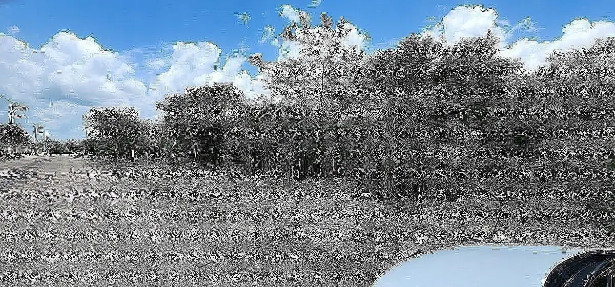 Venta Terreno de 8,000 mts2 cerca priv. Oviedo — foto 6
