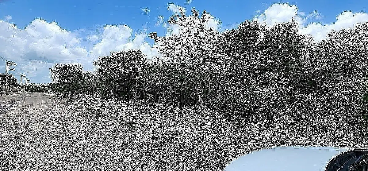 Venta Terreno de 8,000 mts2 cerca priv. Oviedo — foto 6