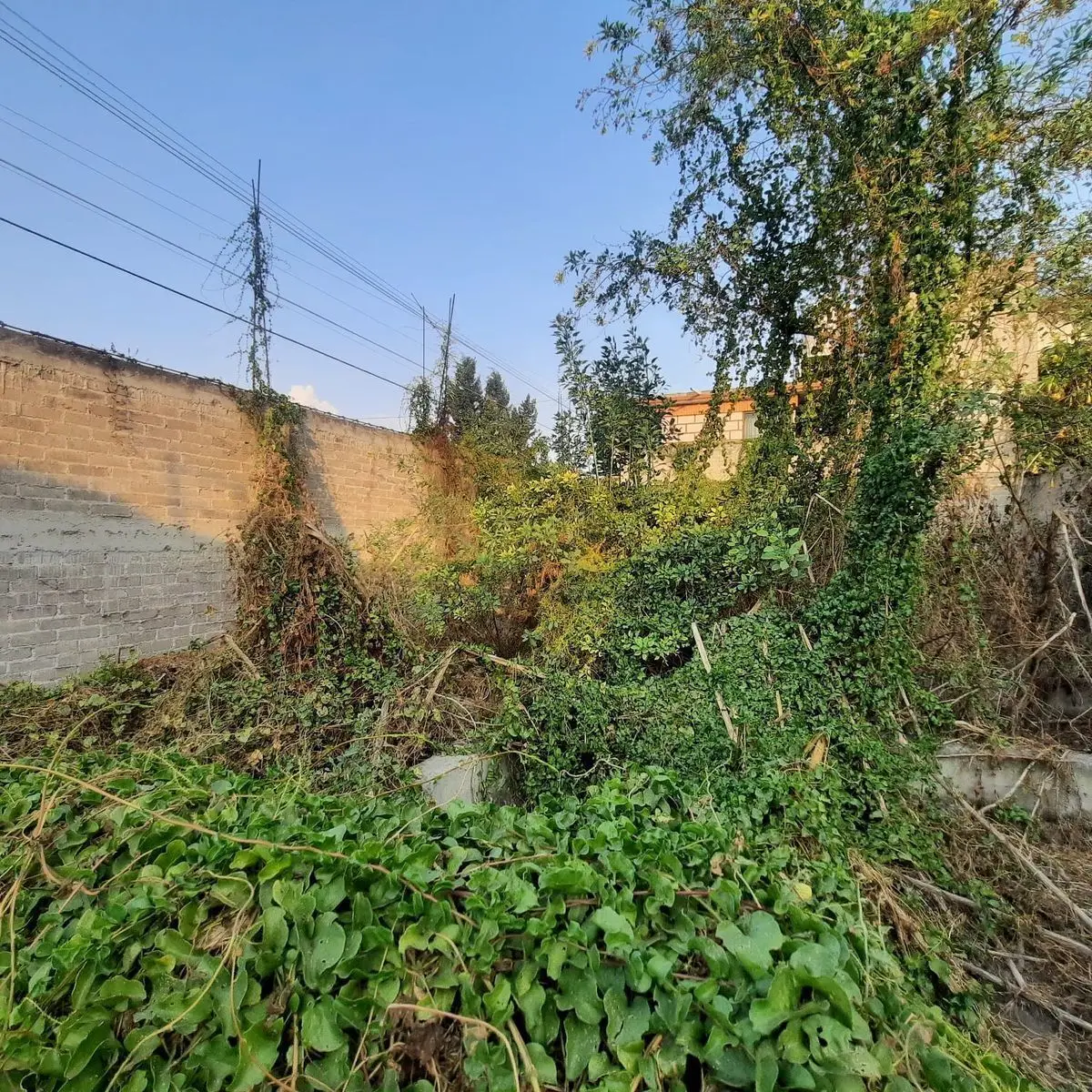 Terreno Tres Marias Chalco — foto 3