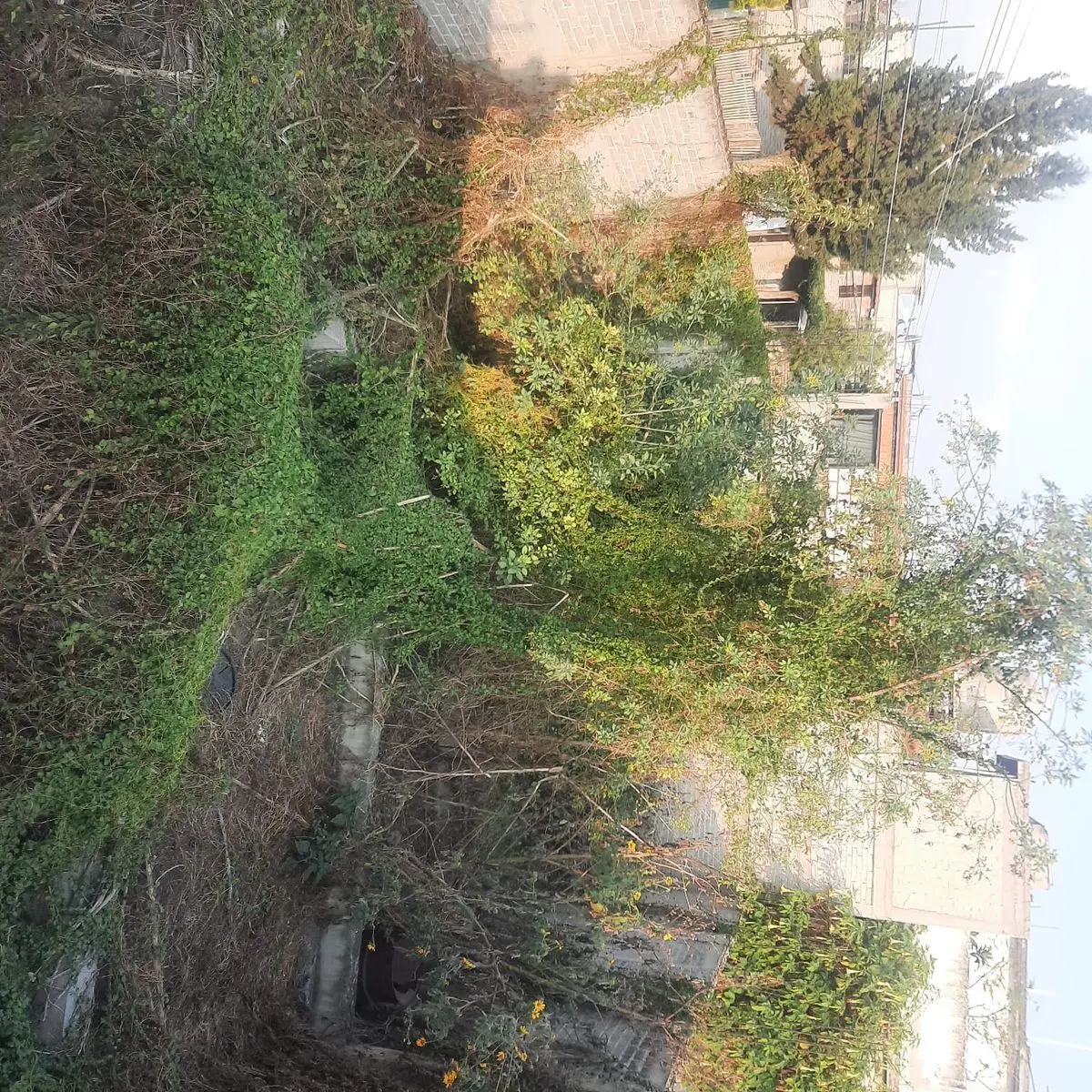 Terreno Tres Marias Chalco — foto 5