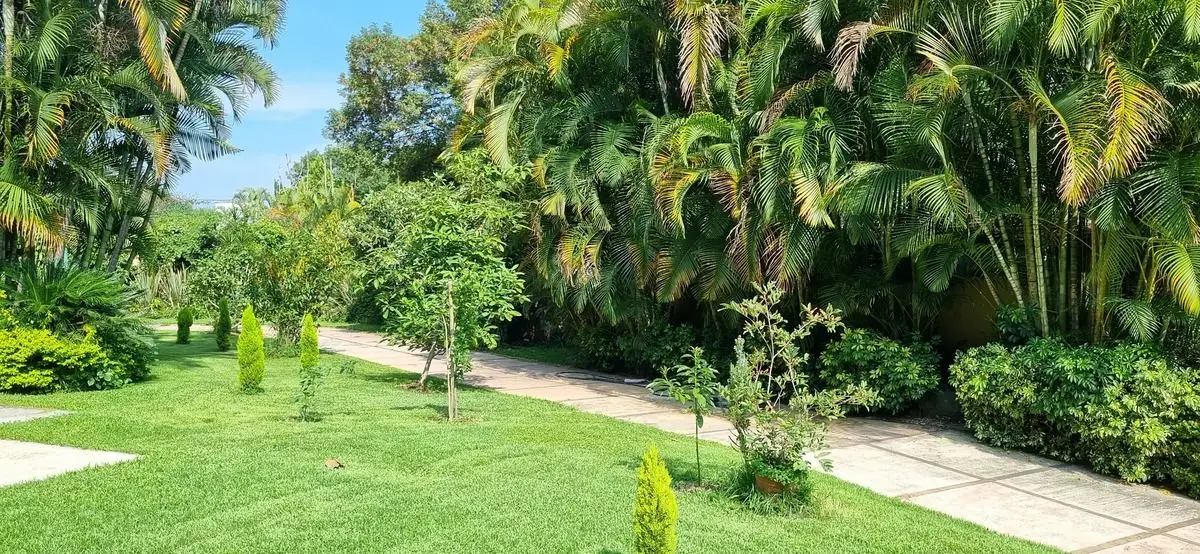 Casa en Rancho Cortes Cuernavaca — foto 6