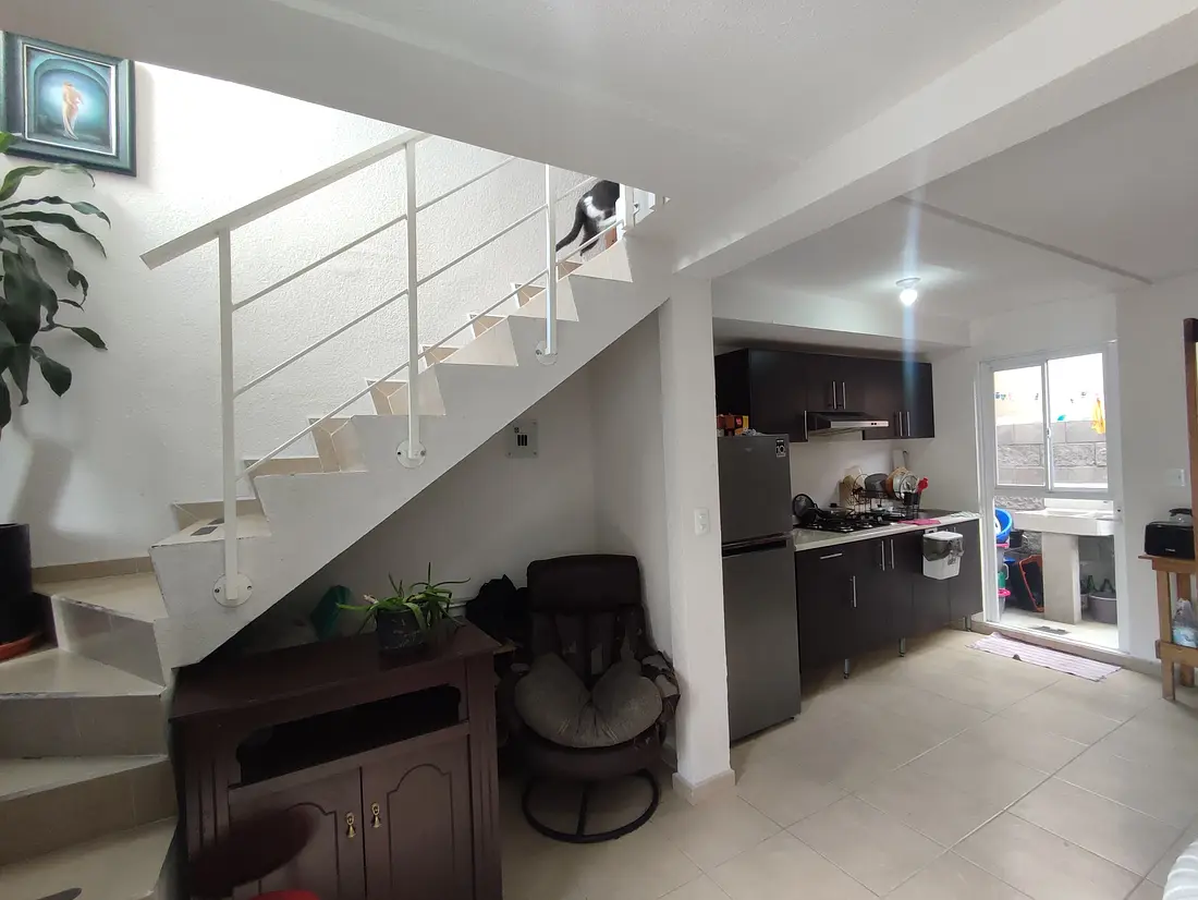Real Granada Tecámac — foto 5