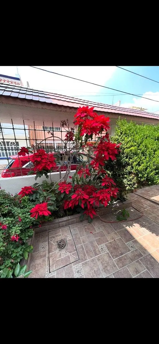 Casa en Col-Cuautepec del-Gam — foto 2