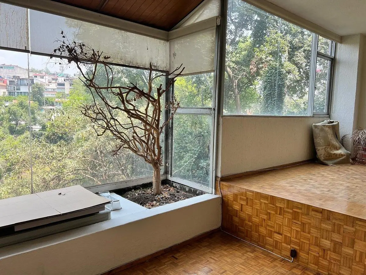 Departamento en Col.Lomas de Chapultepec Del. Miguel Hidalgo — foto 6
