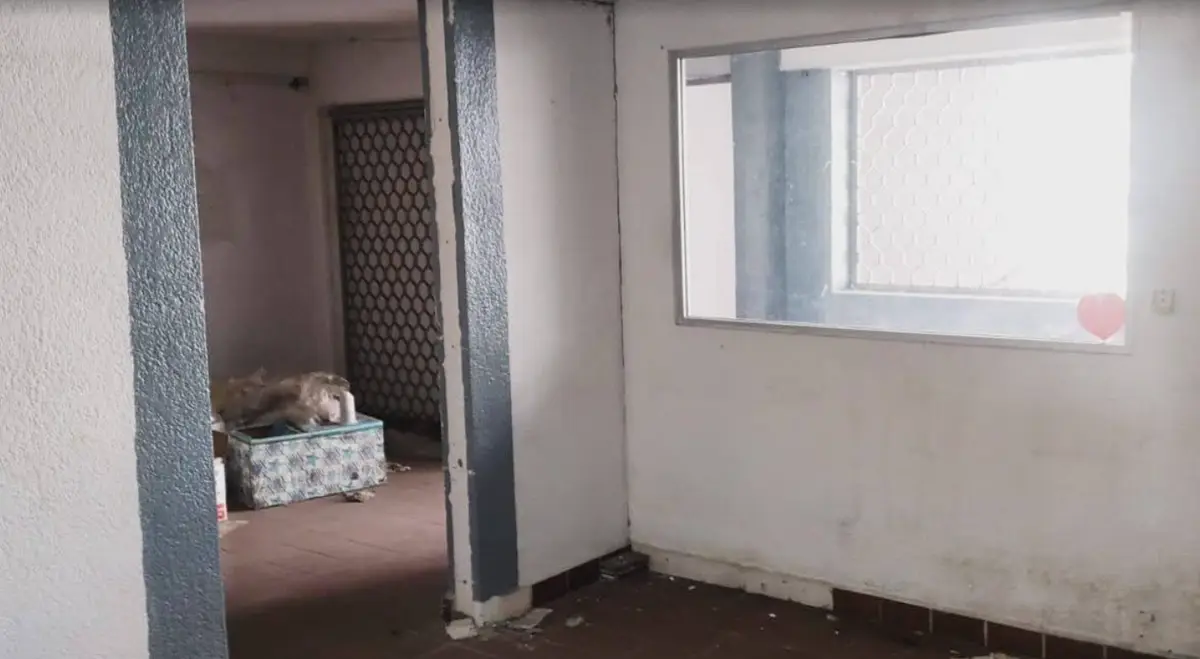 Edificio Remate Bancario Acapulco de Juarez — foto 5