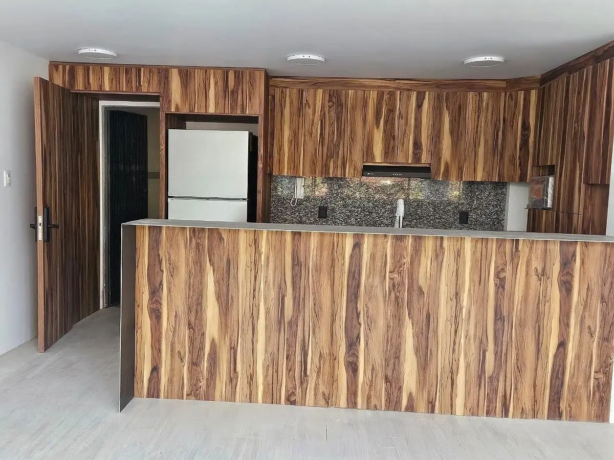 Departamento en Renta Pet Friendly Roma Sur — foto 3