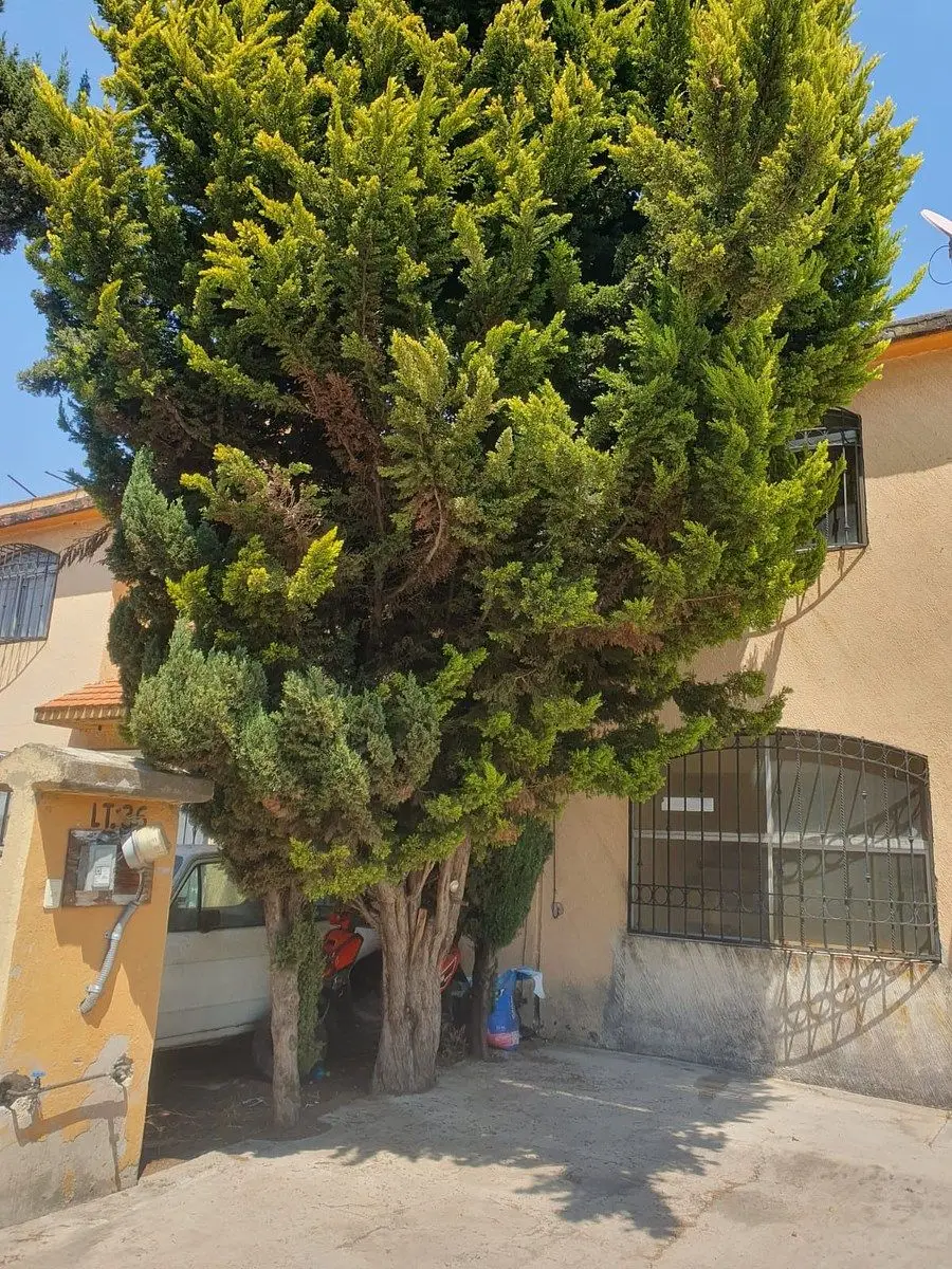 Casa en Ixtapaluca, Edo de México — foto 3