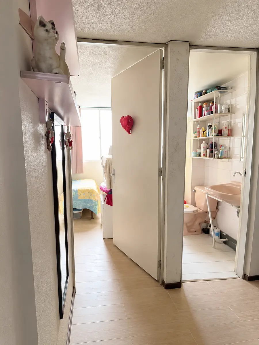 Departamento en Venta Zona Centro, Venustiano Carranza — foto 4