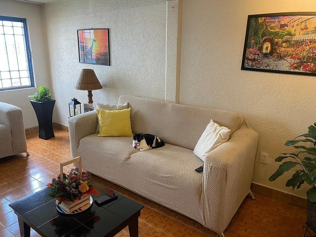Casa Duplex en Venta Cualhuacan Ctm 1a Seccion, Coyoacan — foto 2