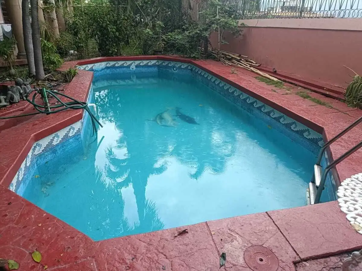 Se renta casa en Col Las Terrazas de Tuxtla Gutiérrez — foto 3