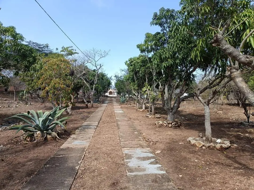 Se vende finca con 8,320 M2. — foto 5