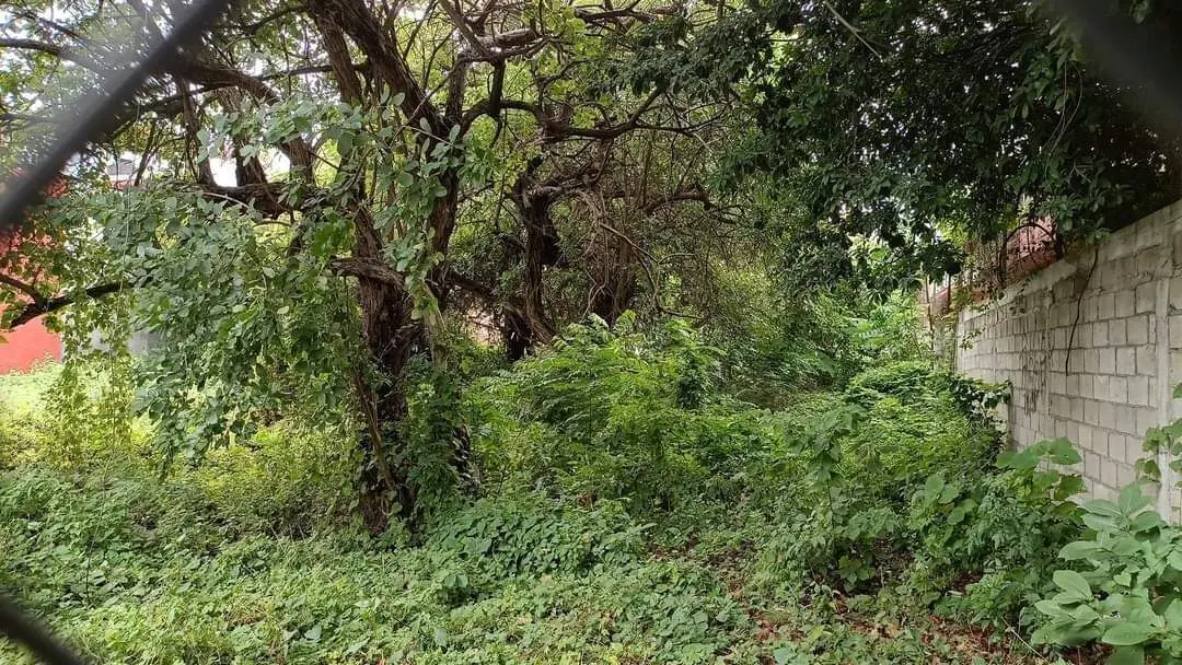 Se vende terreno de 1,200 M2 en Tuxtla Gutiérrez — foto 2