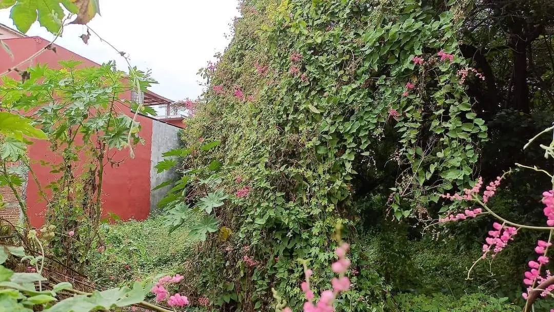 Se vende terreno de 1,200 M2 en Tuxtla Gutiérrez — foto 3