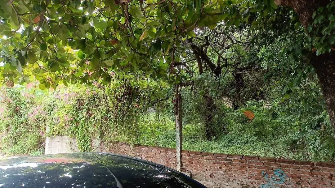 Se vende terreno de 1,200 M2 en Tuxtla Gutiérrez — foto 6
