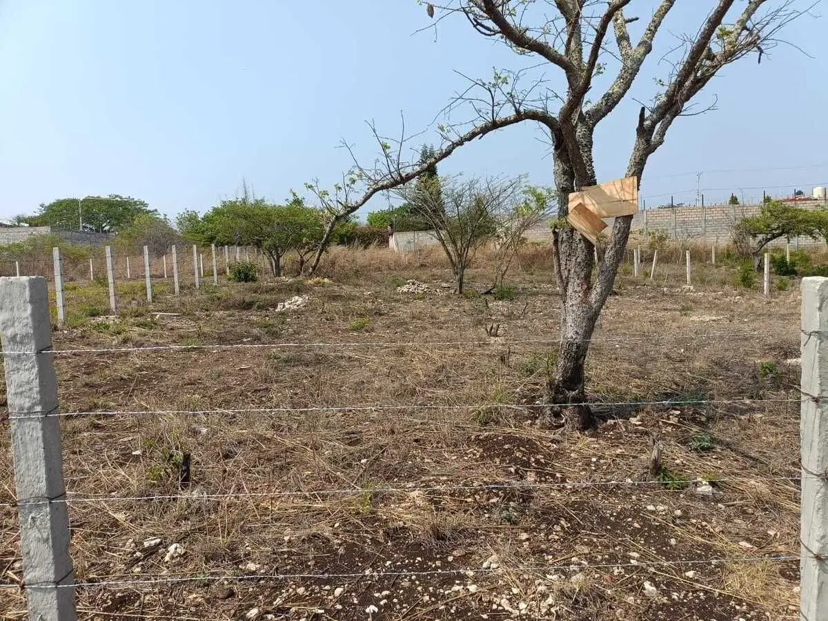 Se vende terreno en Berriozábal — foto 3