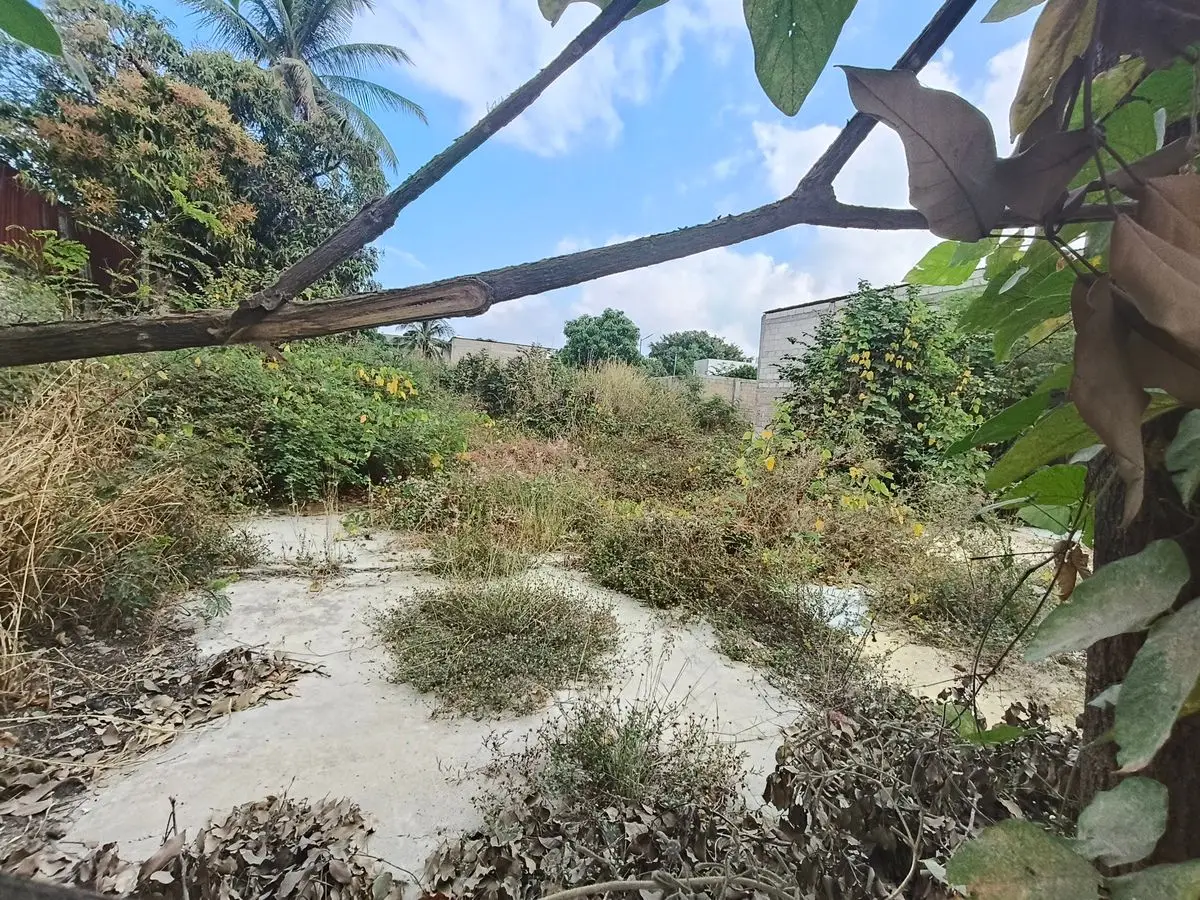Se vende terreno en entrada poniente de Tuxtla Gutiérrez — foto 4
