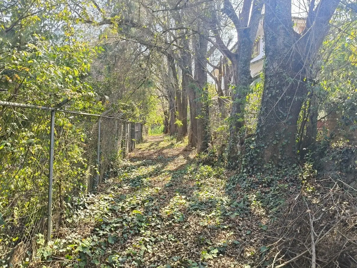 Se vende terreno en los Alcanfores de San Cristóbal de Las Casas — foto 3