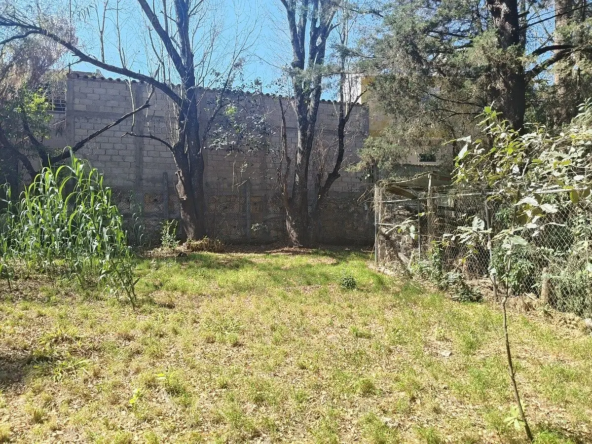 Se vende terreno en los Alcanfores de San Cristóbal de Las Casas — foto 4