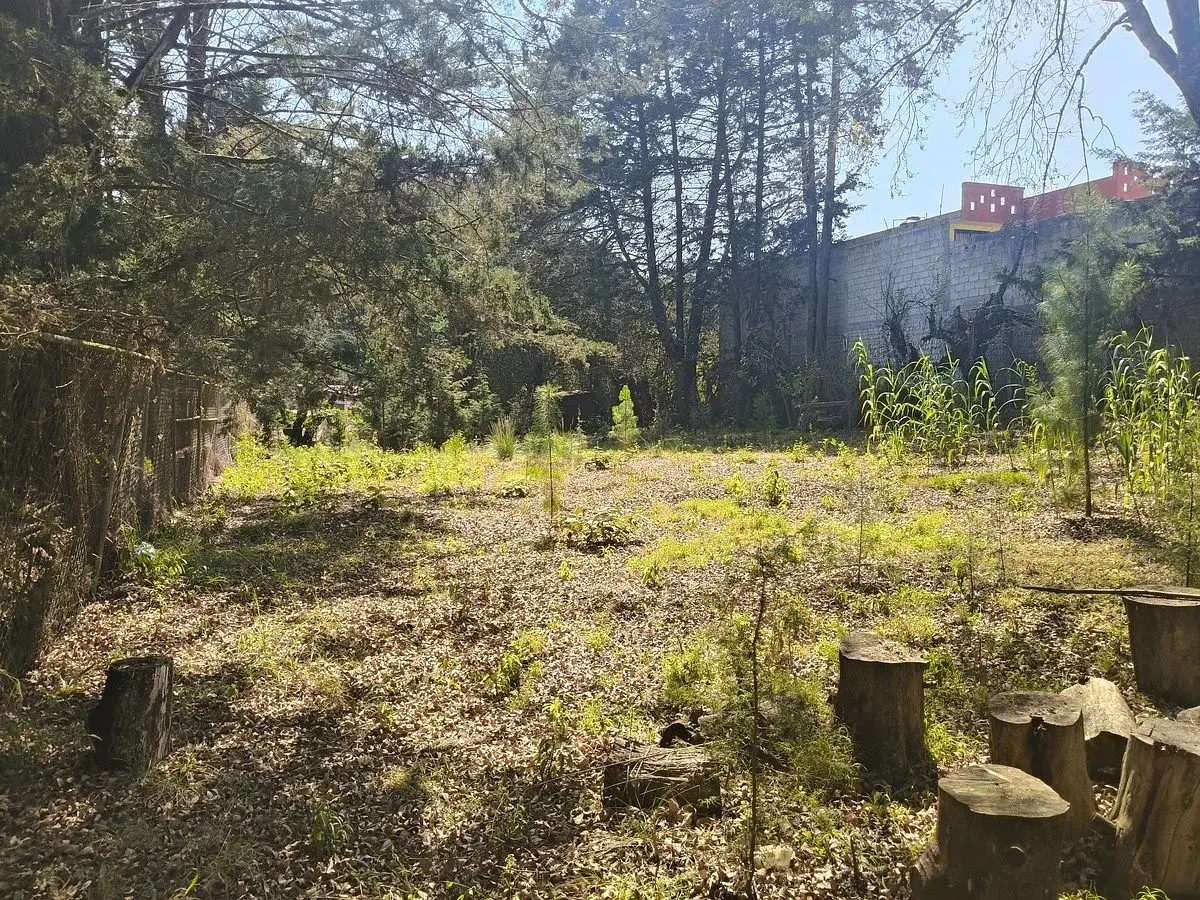Se vende terreno en los Alcanfores de San Cristóbal de Las Casas — foto 5