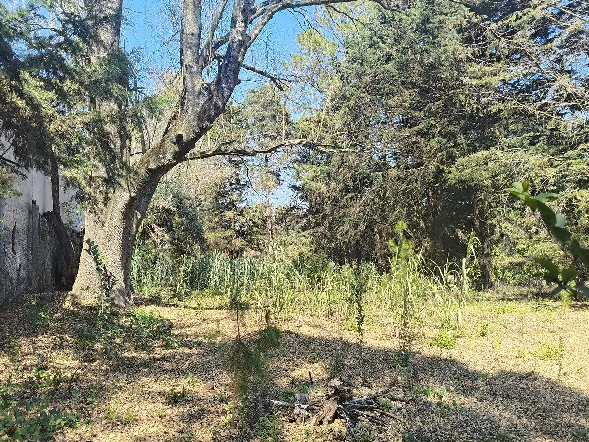 Se vende terreno en los Alcanfores de San Cristóbal de Las Casas — foto 6