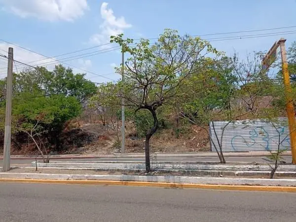 Terreno en Venta atrás de Toks Oriente