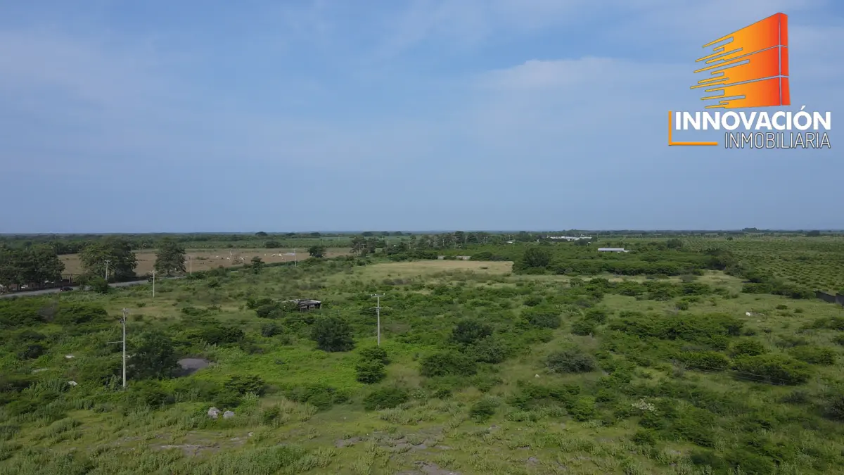 Se Venden 7 Hectareas, Sobre Carretera Tecoman a Cerro de Ortega, Ideal Empacad — foto 4