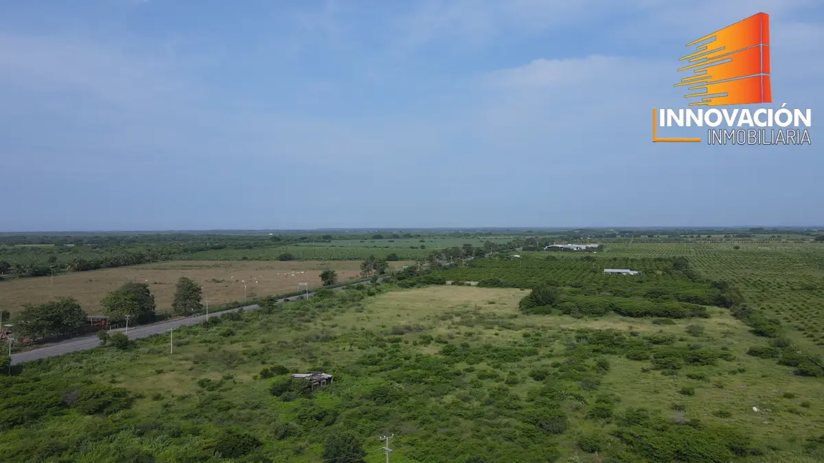 Se Venden 7 Hectareas, Sobre Carretera Tecoman a Cerro de Ortega, Ideal Empacad — foto 5
