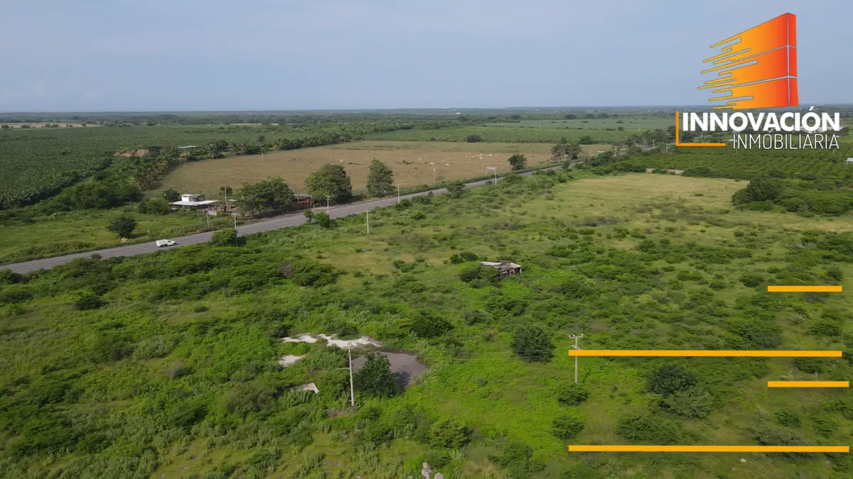 Se Venden 7 Hectareas, Sobre Carretera Tecoman a Cerro de Ortega, Ideal Empacad — foto 6