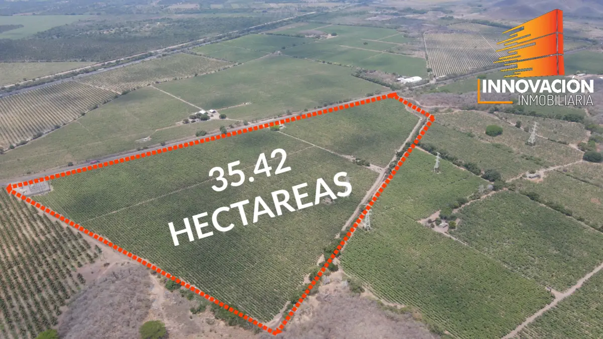 Se Vende Terreno de 35.42 Hectareas en Armeria Colima, Sobre Carretera