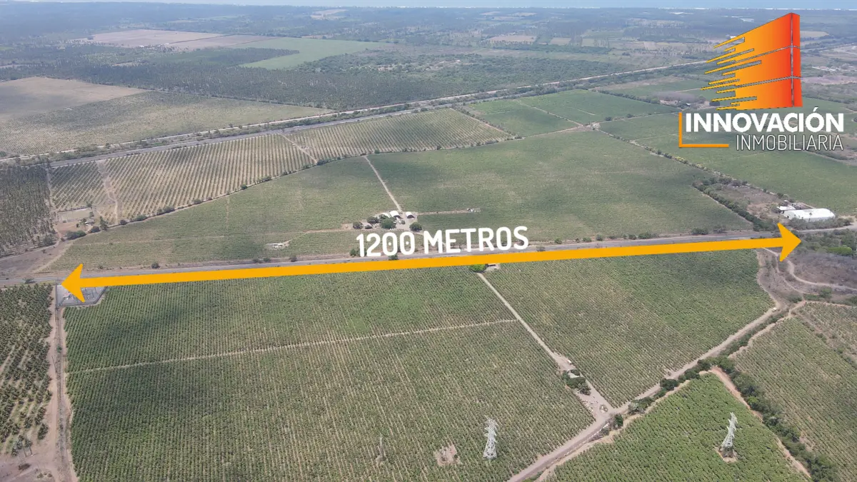Se Vende Terreno de 35.42 Hectareas en Armeria Colima, Sobre Carretera — foto 2